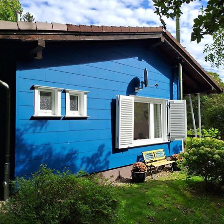 Platell Ferienhausverwaltung Sankt Andreasberg Eksteriør bilde